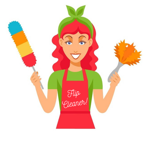 FlipCleaner!
